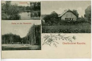 Rauscha. Oberförsterei