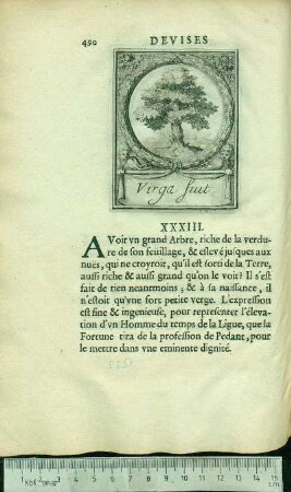 XXXIII. Virga fuit.