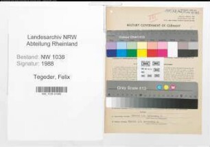 Entnazifizierung Felix Tegeder , geb. 11.08.1879 (Stuckateur)