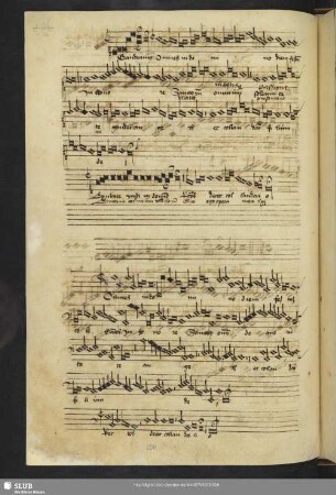 [Anon.:] Gaudeamus omnes