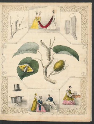 Tafel: [The silk worm.]