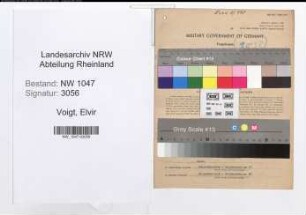 Entnazifizierung Elvir Voigt , geb. 06.07.1901 (Haendler)