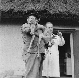 Dresden-Reick, Oskar-Röder-Str. 6. Tierklinik. Medizinische Versorgung eines Fohlens