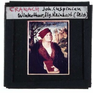 Cranach, Porträts von Johannes und Anna Cuspinian : Detail (rechts)