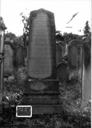 Grabstein 1257 (Index: 100104477) Material: Sandstein Zustand: stellenweise angewittert Maße HxBxT: 210x60x34 cm Beschreibung: Obelisk: Grabstein 1257