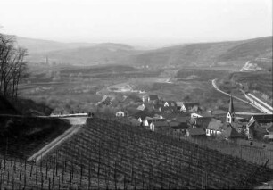 Bickensohl: Umgelegte Weinberge mit Blick auf Bickensohl