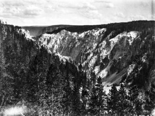 Grand Canyon of the Yellowstone : Blick auf den Grand Canyon of the Yellowstone, eine V-förmige Schlucht im Yellowstone-Nationalpark, durch welche der Yellowstone River fließt.