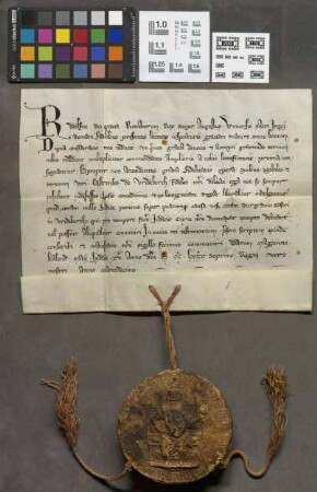 Friedberg: Rudolphi I. Imperatoris convessio pro Castrensibus in Vrideberch quod coram nullo Judice penitus super quacunque causa, nisi coram Burg...