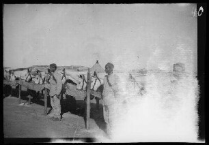 [Nador (?) (Marokko):] Spanische Soldaten in heller Uniform vor der Pferdeanbindestelle ("Feldstall im Lager der Husares de la Princesa")