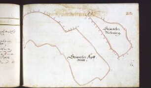 Winterbacher Hut: Steinacher Kopfwald; Steinacher Buchenberg