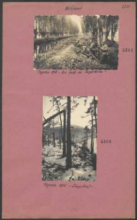 Vogesen 1918 - Lingekopf