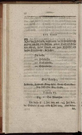 Die Lerche