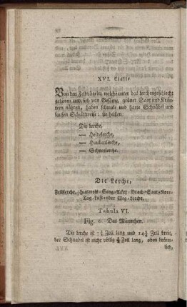 Die Lerche