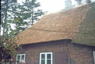 Hauptstraße 1: Bauernhaus mit Reetdach: Detailaufnahme Dach mit Blitzableiter