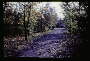 Tiergarten 30.10.65.