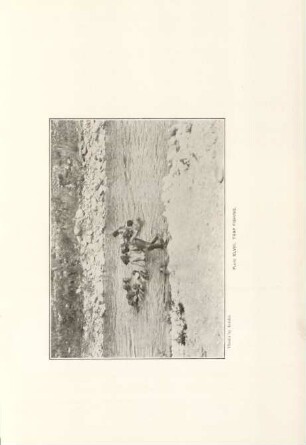 Plate XLVIII. Trap fishing