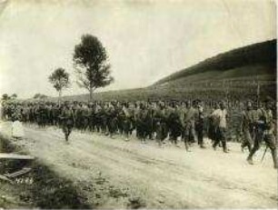 Russische Kriegsgefangene in Ostgalizien