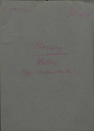 Hornig, Walter