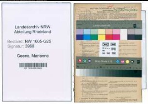 Entnazifizierung Marianne Geene , geb. 08.12.1914 ()
