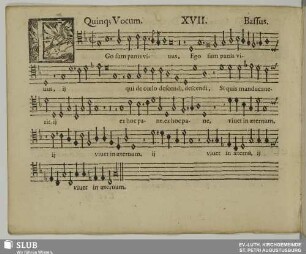 XVII. Ego sum panis vivus