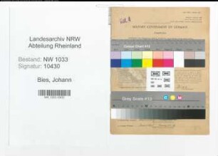 Entnazifizierung Johann Bies , geb. 22.10.1900 (Kriminalbeamter)
