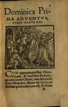 Pericopae Euangelioru[m] quae Singvlis Diebvs Dominicis