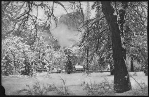 Yosemite. Winter in Yosemite, Cal.
