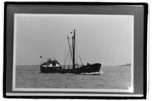 Auguste (1914), Frachtschiff, H. Behrens, Hamburg