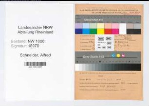 Entnazifizierung Alfred Schneider, geb. 24.05.1912 (Glasreiniger)