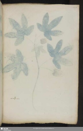 Blatt 121-150