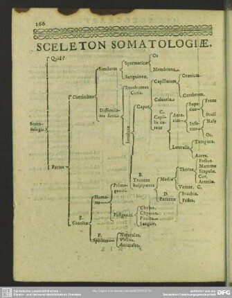 Sceleton Somatologiae