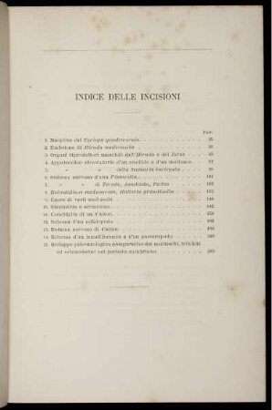 Indice Delle Incisioni