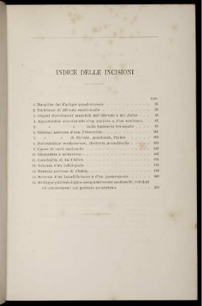 Indice Delle Incisioni