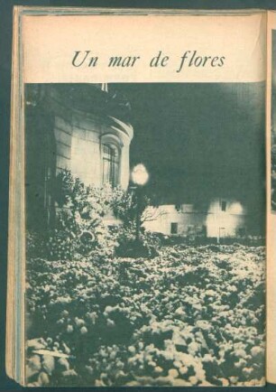Un mar de flores