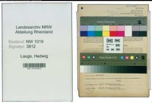 Entnazifizierung Hedwig Laugs , geb. 13.12.1920 (Kaufmaennische Angestellte)