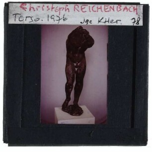 Reichenbach, Torso