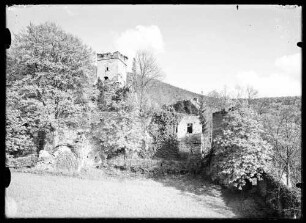Burgruine Freudenberg