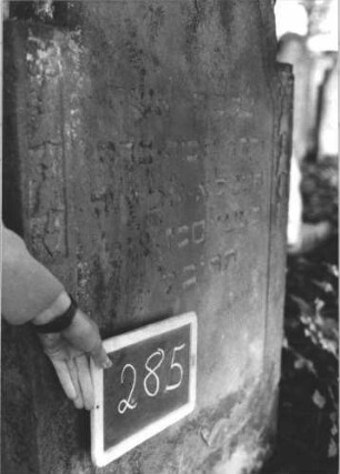 Grabstein 285 (Index: 99894600) Material: Sandstein Zustand: leicht verwittert Maße HxBxT: 131x70x13 cm Beschreibung: Stele mit eingezogenem Rundbogenabschluss Symbolik: Blüte, Blütenkelche: Grabstein 285 (3)