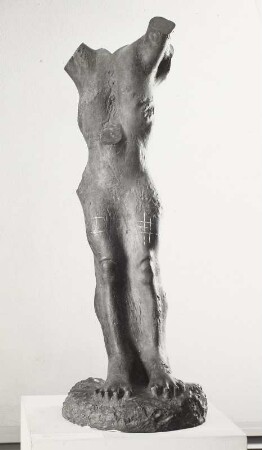 Torso Sebastian