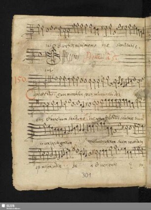 Mel, Rinaldo del: Cantate Domino canticum novum quia mirabilia fecit