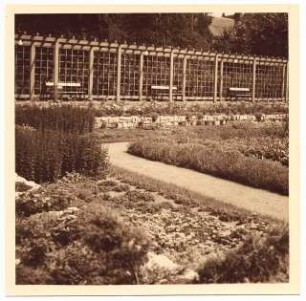 Grünanlage mit Spielplatz, Hindenburg: Blumenbeete und Natursteinmauer vor dem Laubengang