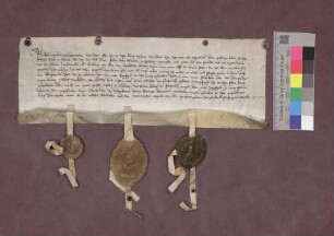 Herzog Hermann von Teck gelobt, die gerichtlichen Handlungen der Gräfin Anne zu Freiburg und ihres Sohnes Egeno wegen Lichteneck und Nimburg aufrechtzuerhalten.