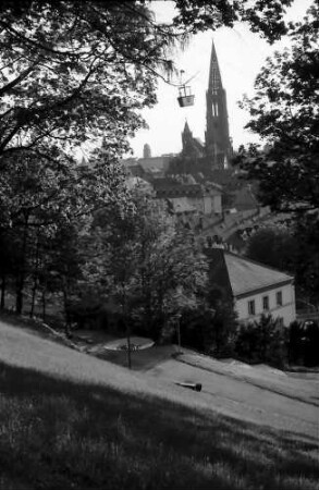 Freiburg: Vom Stadtgarten auf Seilbahn und Münster