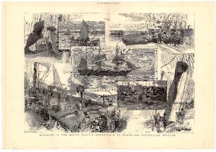 Whaling in the South Pacific: Operations on Board an Australian Whaler