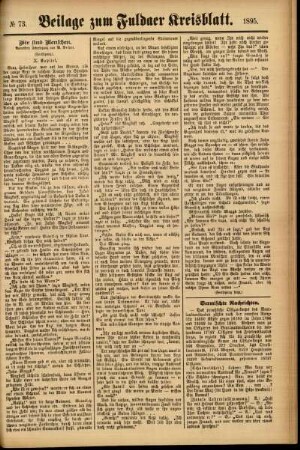 Zweite Ausgabe vom Samstag, den 22. Juni 1895.