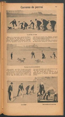 Carreras de perros