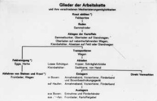 Glieder der Arbeitskette und ihre verschiedenen Mechanisierungsmöglichkeiten(Kartoffelernte)