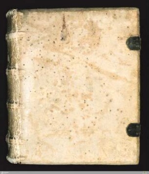 Liber officialis - HB VII 43