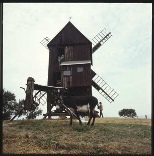 Bockwindmühle Lebusa