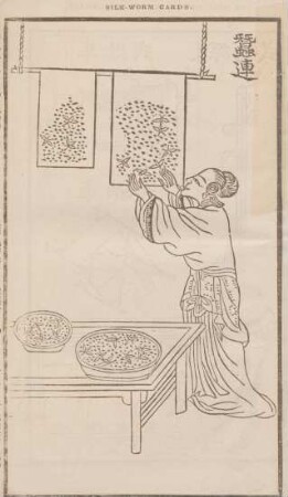 Silk-worm cards